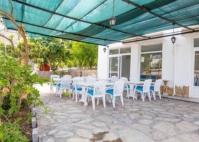 Doga Apart Датча